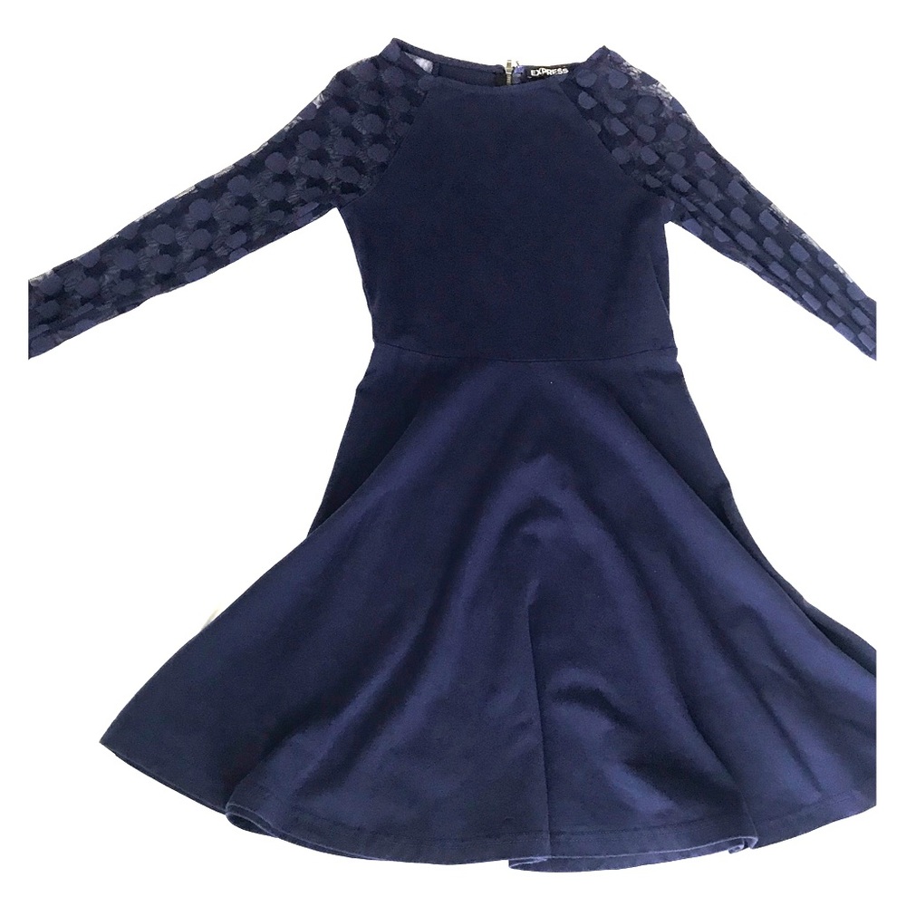 Express Purple Skater Dress Size XS